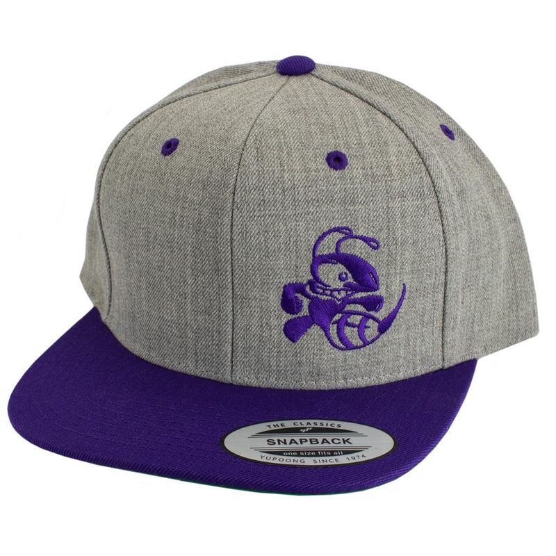 Two Tone Snapback Hat Buzzz Design Heather Gray/Purple