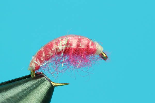 UV Scud Shrimp Pink