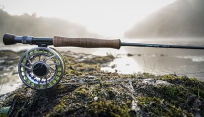 Rods