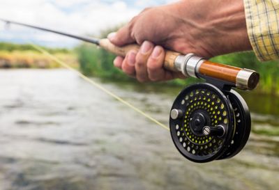 Reels