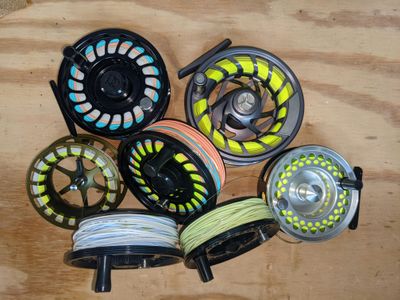Fly Line
