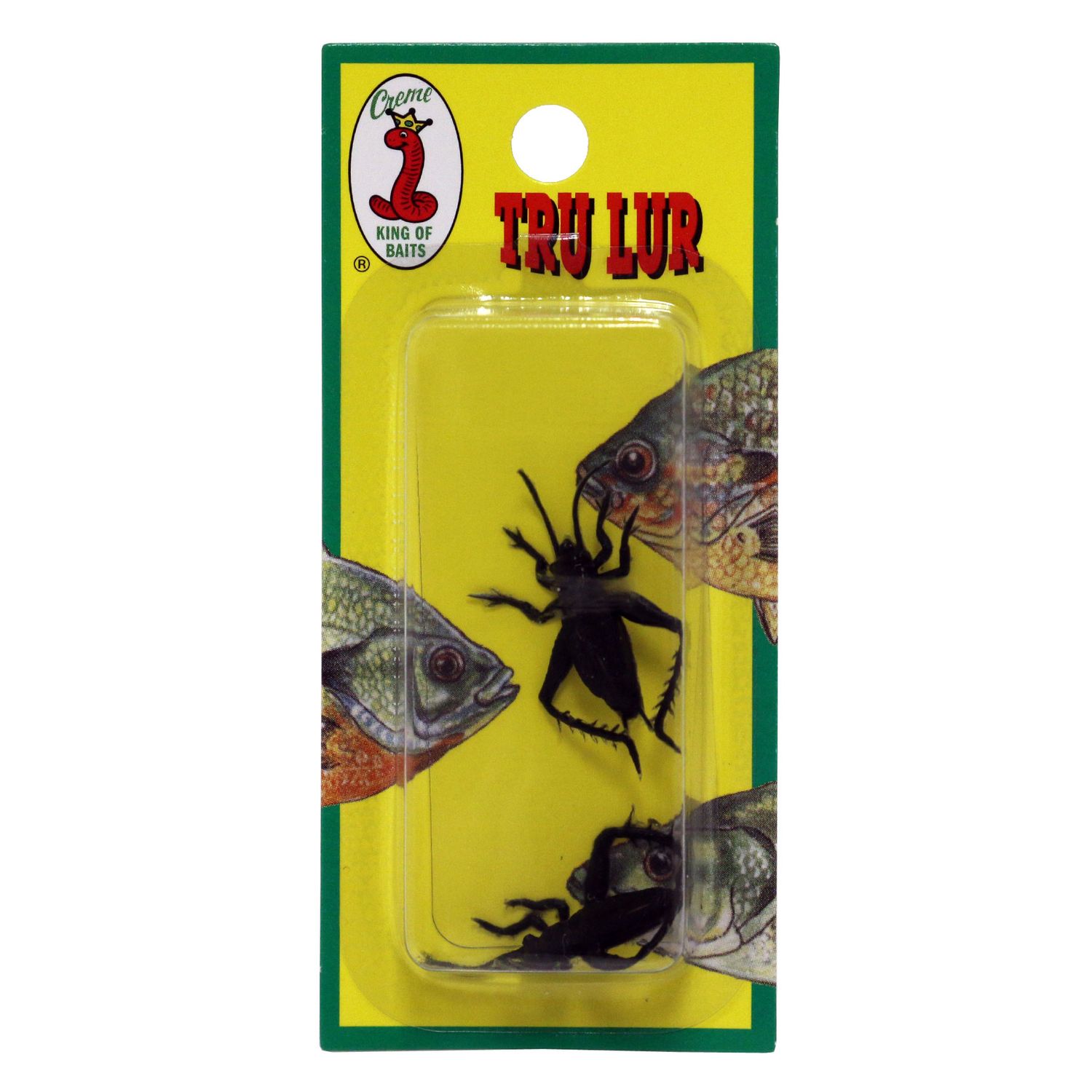 Small Black Cricket 2 PK