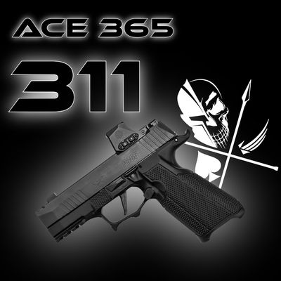 ACE 365 311