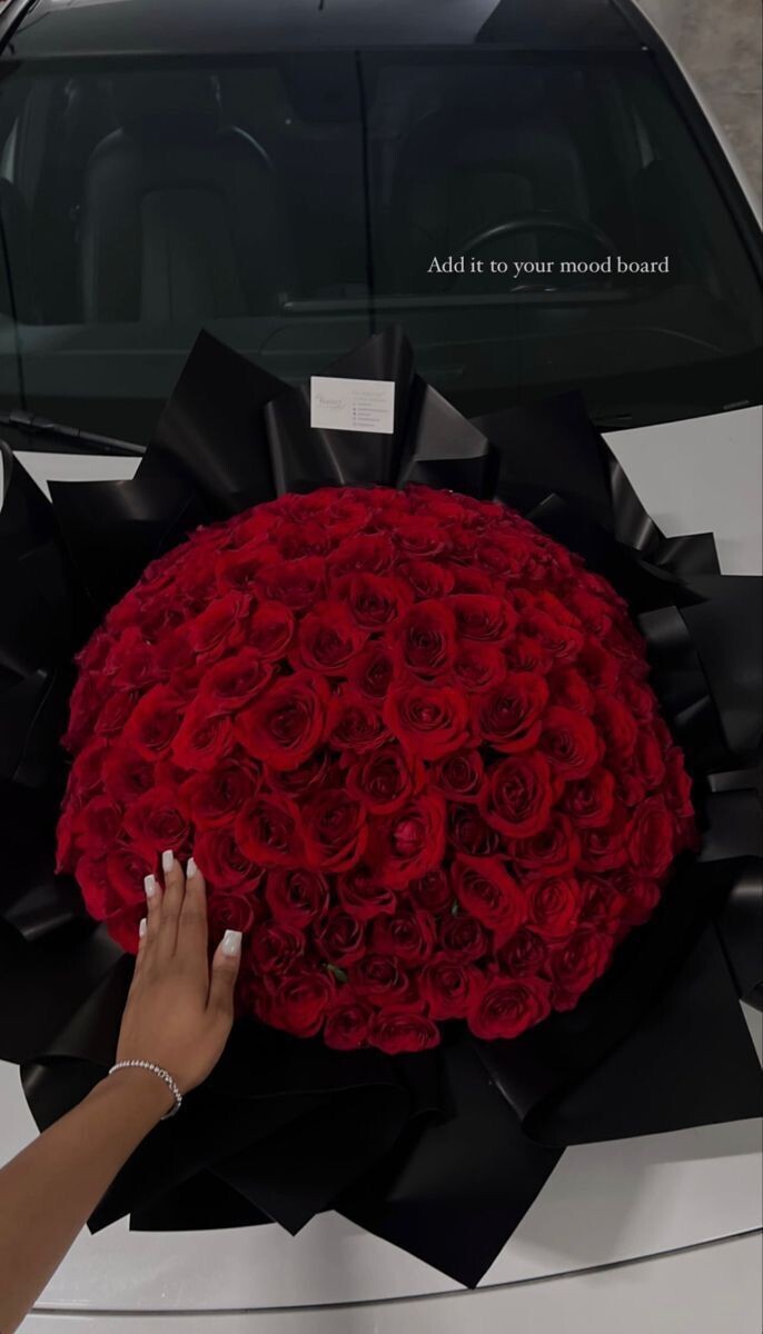 Radiant Red Rose