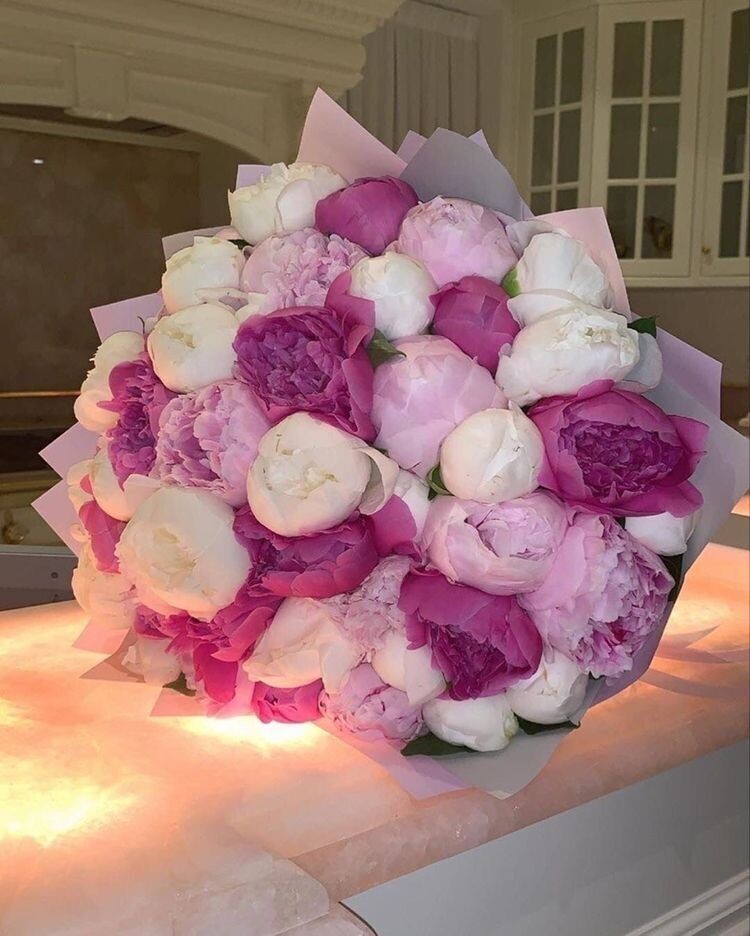 Peony Dream