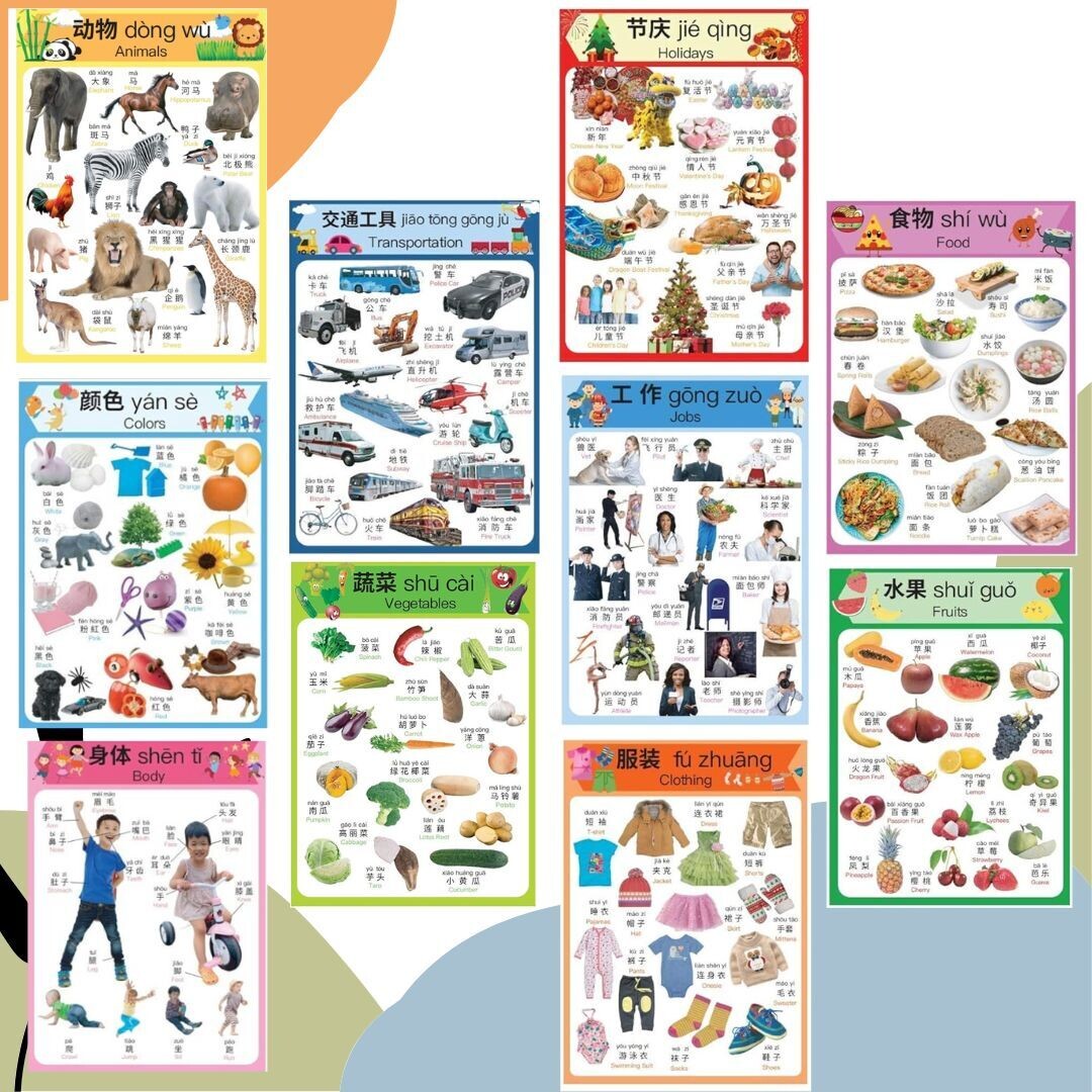Educational 10-Poster Realistic Pictures Set in Simplified Chinese