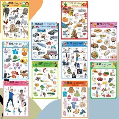 Educational 10-Poster Realistic Pictures Set in Simplified Chinese
