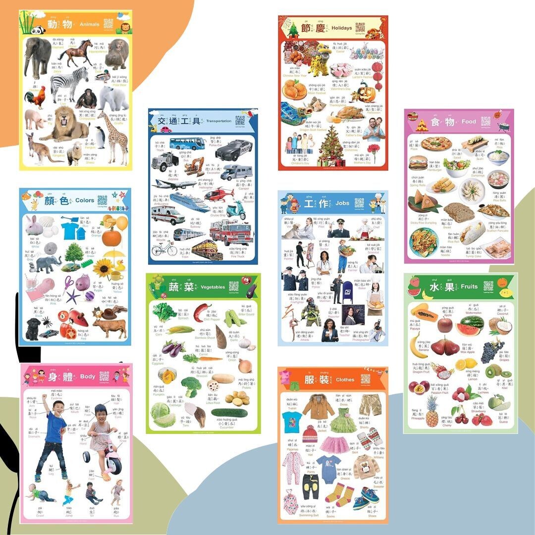 Educational 10-Poster Realistic Pictures Set in Traditional Chinese