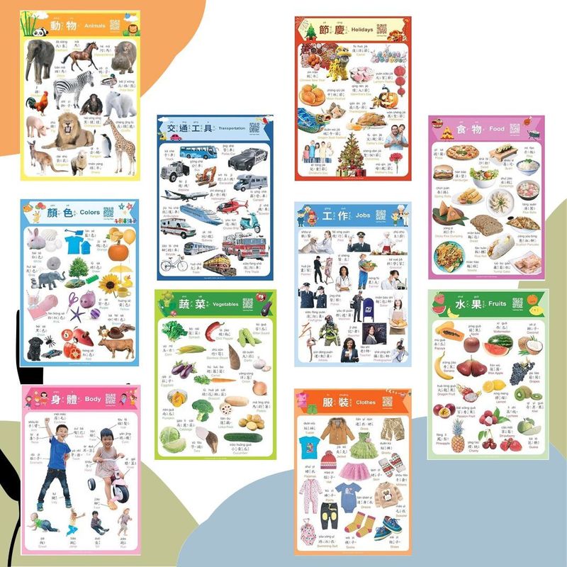 Educational 10-Poster Realistic Pictures Set in Traditional Chinese