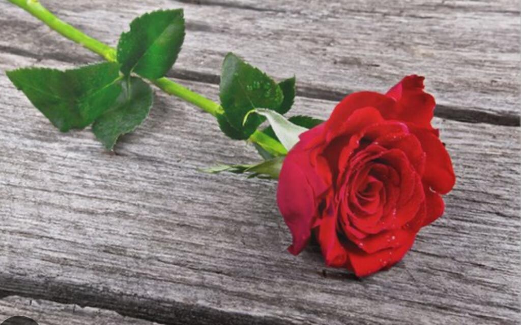 One Kiss       ***ONLY AVAILABLE FOR 12th,13th &amp;14th***