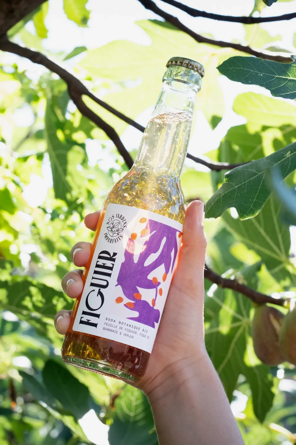 Soda FIGUIER feuilles de figuier, figues de Barbarie &amp; verjus, bouteille 33 cl - FRANCE