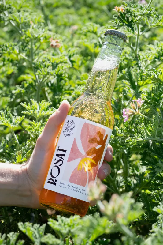 Soda ROSAT géranium Rosat &amp; verjus, bouteille 33 cl - FRANCE