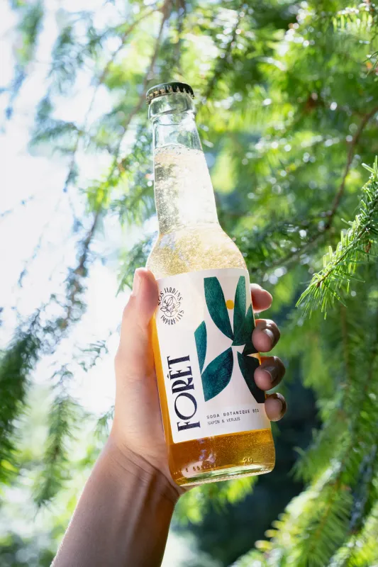 Soda FORET sapin blanc &amp; verjus, bouteille 33 cl - FRANCE