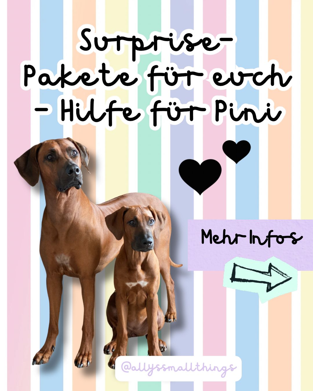 Surprise Paket - Hilfe für Pina. Wähle dein Thema, wie Neurodivergent, Queer, Feminist, Mental Health