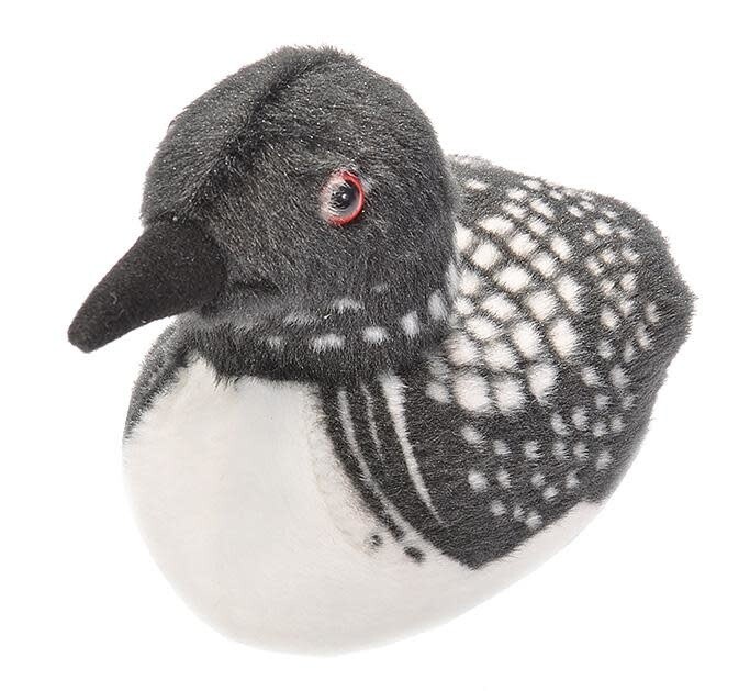 Audubon Bird- Common Loon