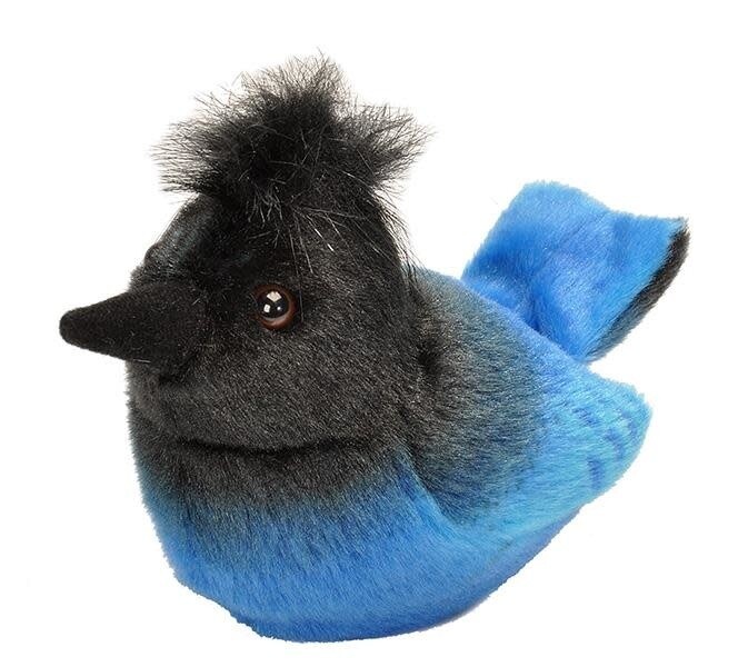 Audubon Bird- Stellars Jay