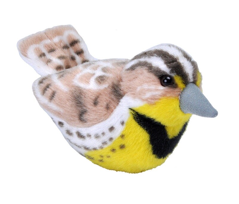 Audubon Bird- Western Meadowlark