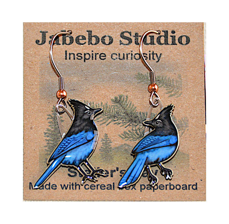 Stellar&#39;s Jay Earrings
