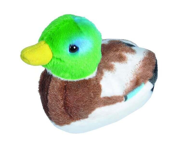Audubon Bird- Mallard Duck