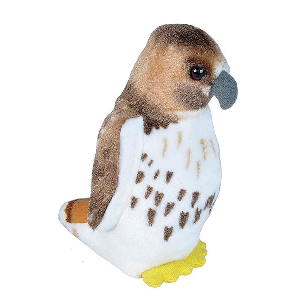 Audubon Bird- Red Tailed Hawk