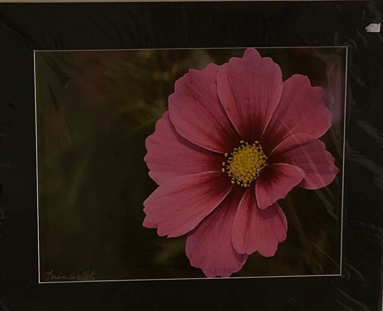 Pink Flower Matted Print