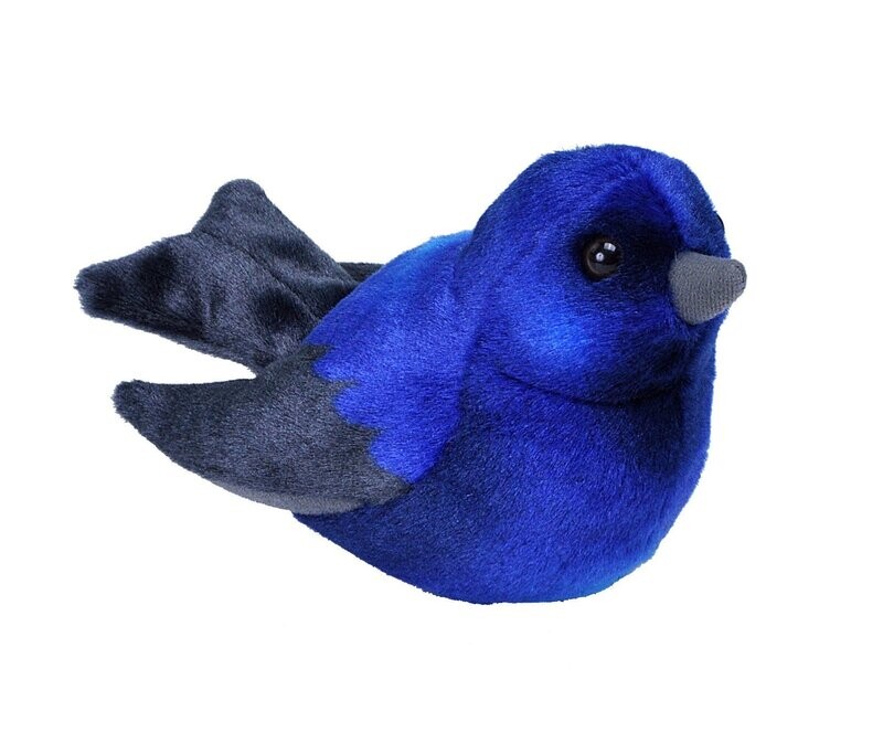 Audubon Bird- Purple Martin