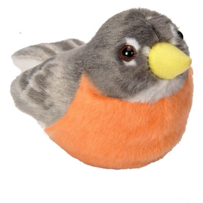 Audubon Bird- American Robin