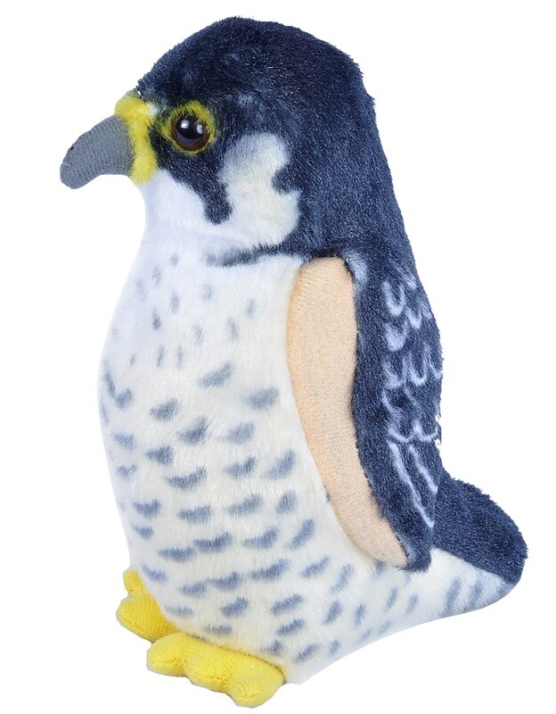 Audubon Bird- Peregrine Falcon