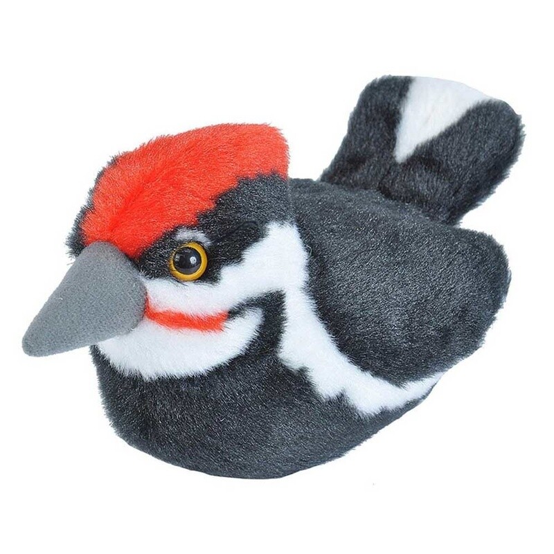 Audubon Bird- Pileated Woodpecker