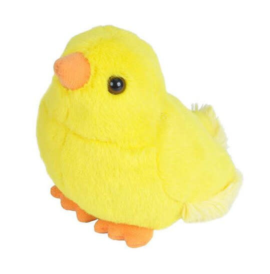 Audubon Bird-Baby Chick
