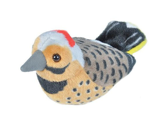 Audubon Bird- Northern Flicker