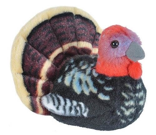 Audubon Bird- Wild Turkey