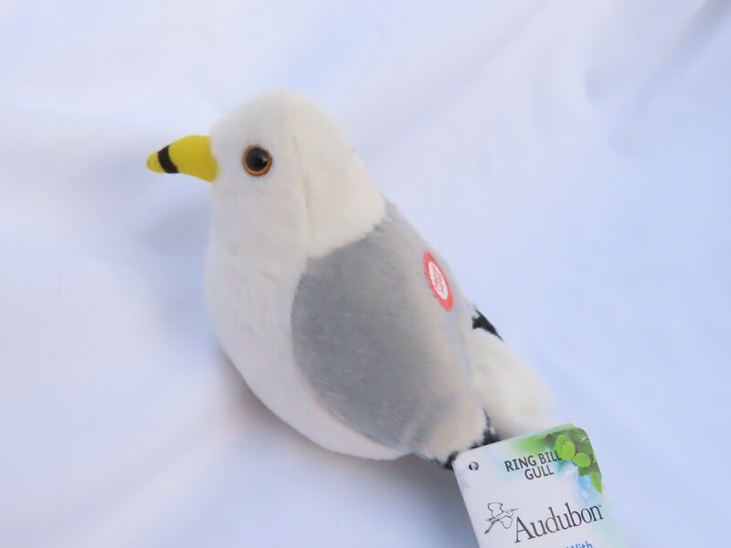 Audubon Bird- Ring Billed Gull