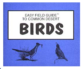 Easy Field Guide to Common Desert Birds