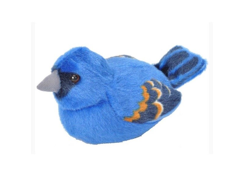 Audubon Bird- Blue Grosbeak