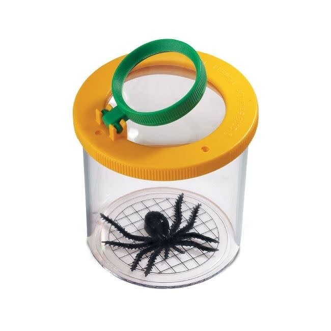 Kids&#39; Bug Jar