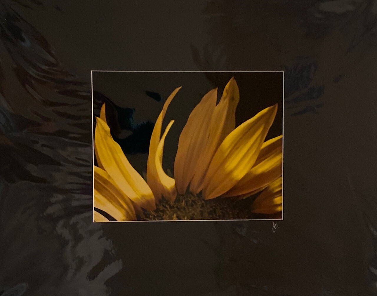 Sunflower on Fire Matted Print