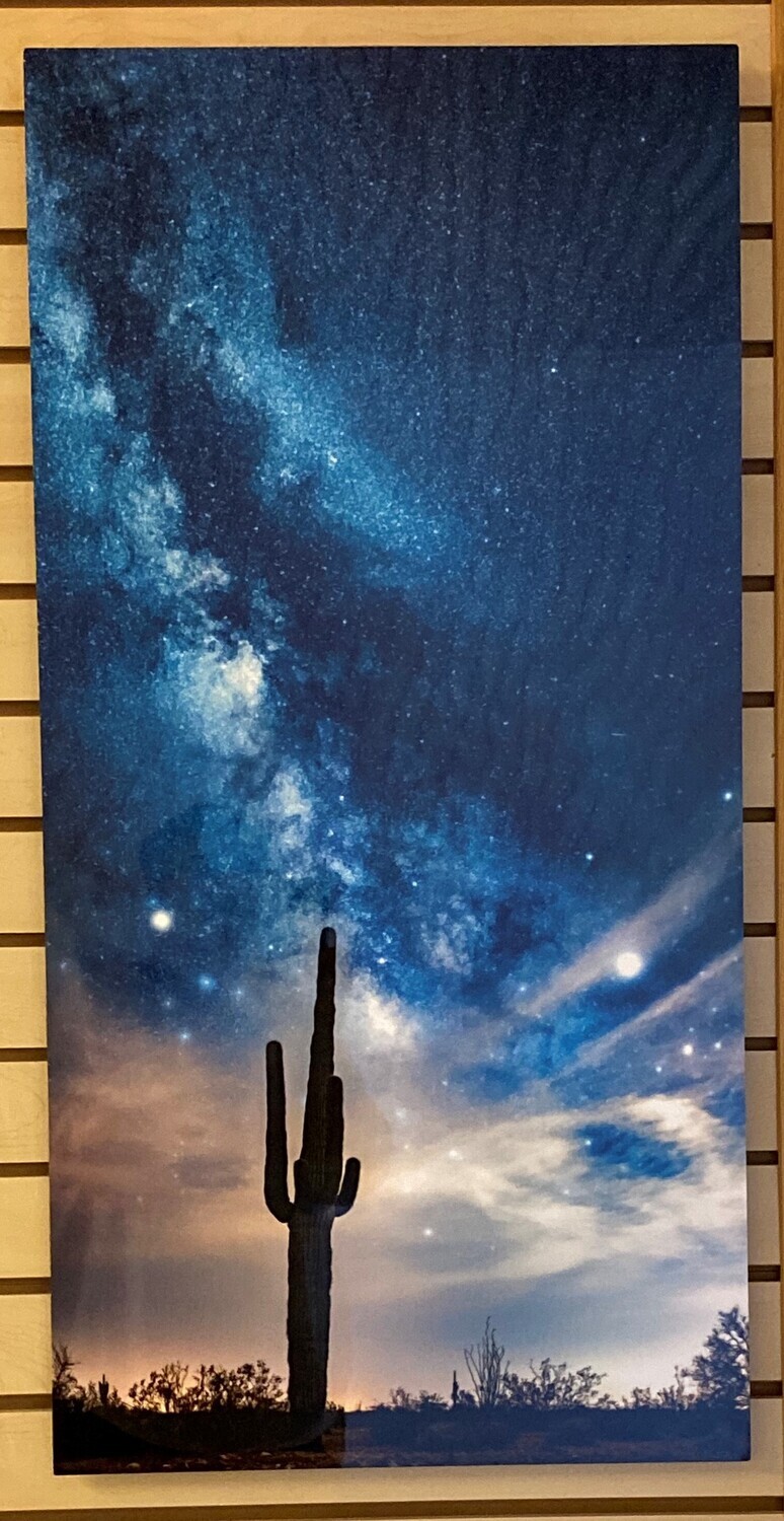 Saguaro In The Night-Metal