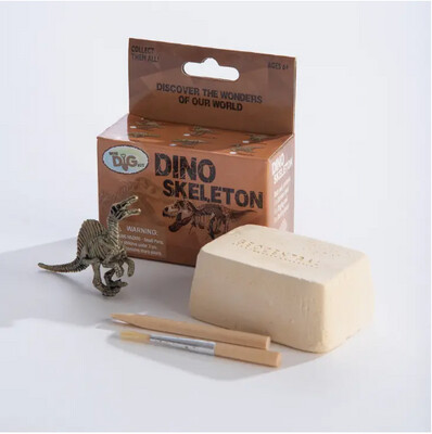 Mini Excavation Kit: Dino Skeletons