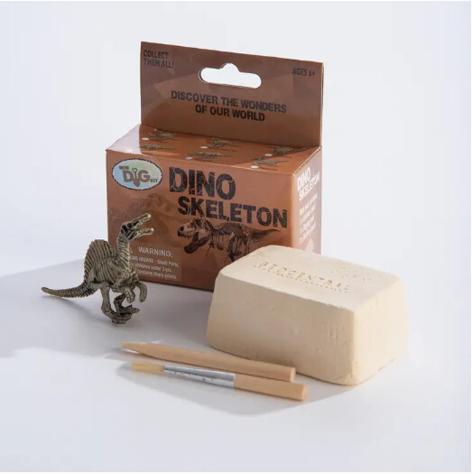 Dino Skeleton Mini Excavation Kit