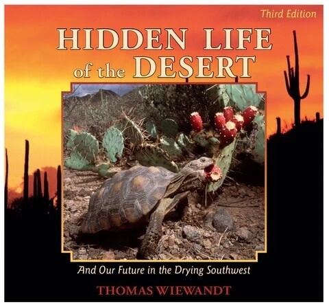 Hidden Life of the Desert
