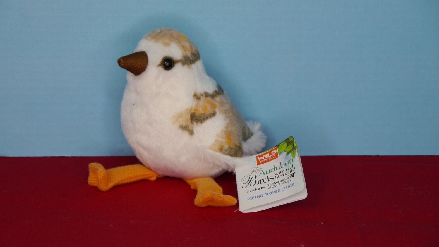 Audubon Bird- Piping Plover Chick