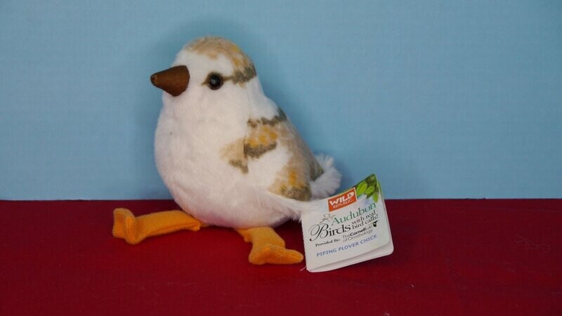 Audubon Bird- Piping Plover Chick