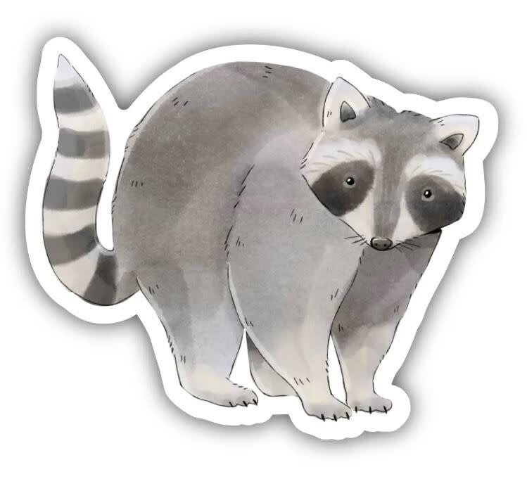 Raccoon Sticker