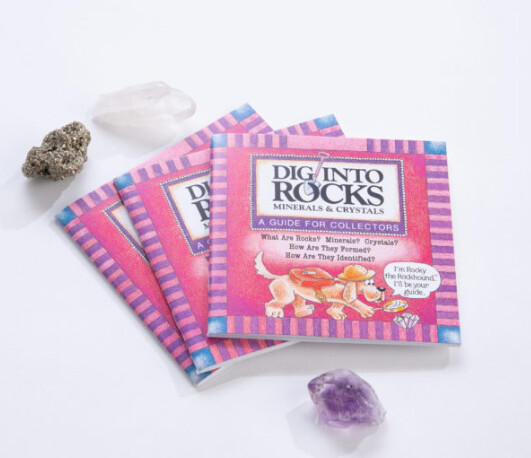 Dig into Rocks Book