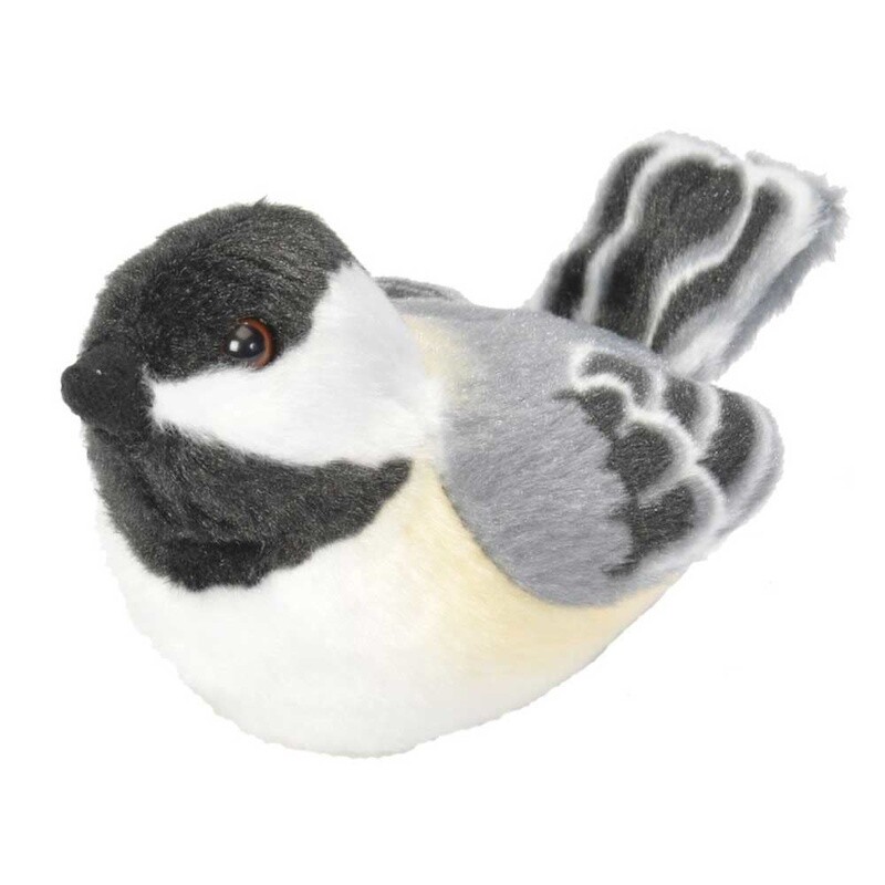 Audubon Bird- Black Capped Chickadee
