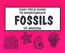 Easy Field Guide To Invertebrate Fossils Of Arizona