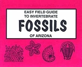 Easy Field Guide to Invertebrate Fossils of Arizona