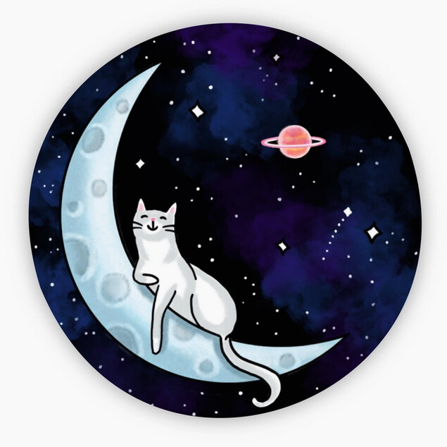 Space Cat Sticker