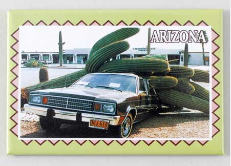AZ Saguaro on Car Magnet